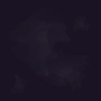 ttJN-C2970 HUCKLEBERRY